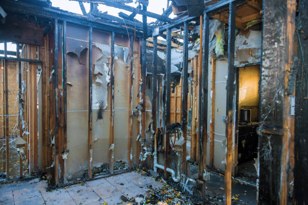 Professional Fire Damage Removal technician working in Napili-Honokowai, HI